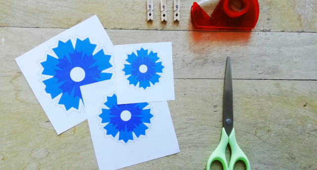 Le kit 8 mai du Bleuet de France