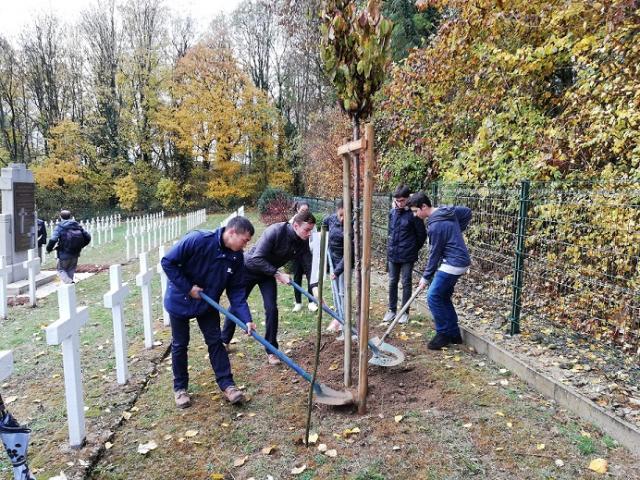 Plantation arbre mémoriel