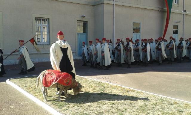 Le 1er régiment de Saphis, dans la Drôme