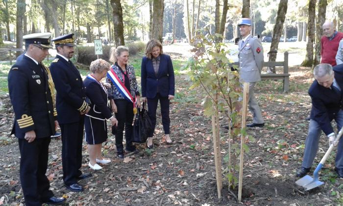 Plantation de deux jeunes érables, symbole de l'amitié franco-canadienne