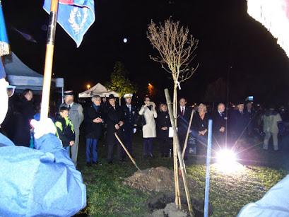 Plantation de l'arbre - Coups de pelle symboliques donnés par les autorités civiles et militaires, les élèves et les présidents d'association.